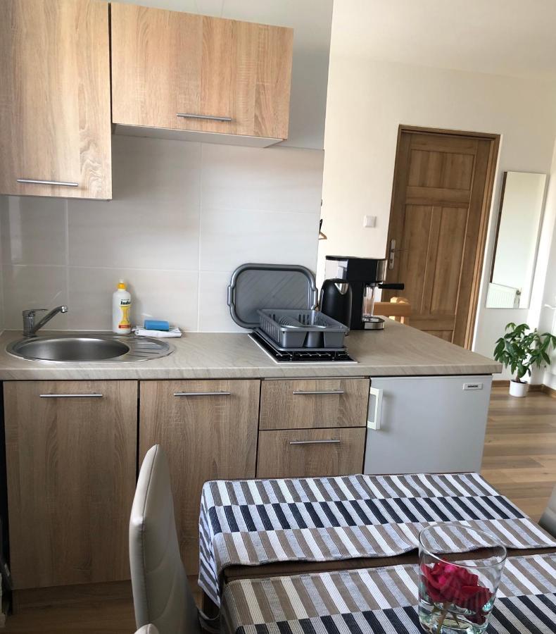 Noclegi Pod Kasztanem Duszniki Zdrój Extérieur photo