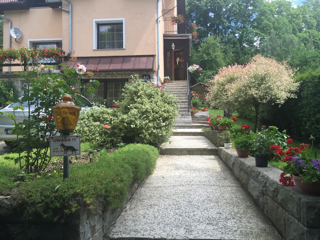 Noclegi Pod Kasztanem Duszniki Zdrój Extérieur photo