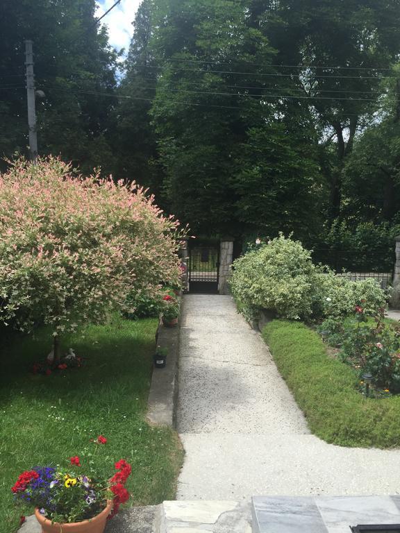 Noclegi Pod Kasztanem Duszniki Zdrój Extérieur photo